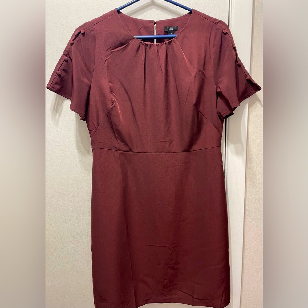 Ann Taylor Plum Flutter Sleeve Flare Shift Dress With Gorgeous Button Sleeves.